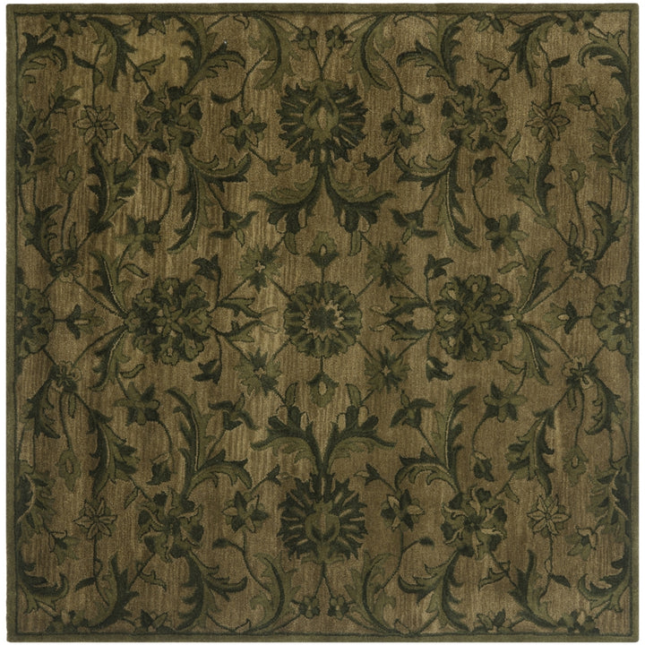 SAFAVIEH Antiquity AT824A Handmade Olive / Green Rug Image 6