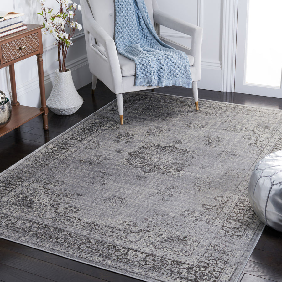 SAFAVIEH Atlas ATL968F Charcoal / Grey Rug Image 1