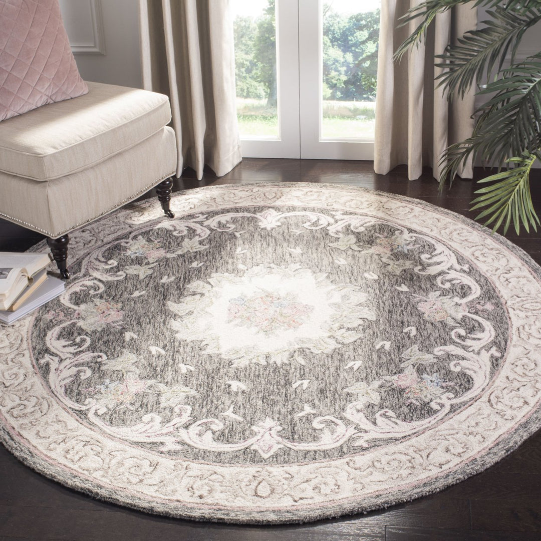 SAFAVIEH Aubusson AUB105H Ivory / Charcoal Rug Image 2