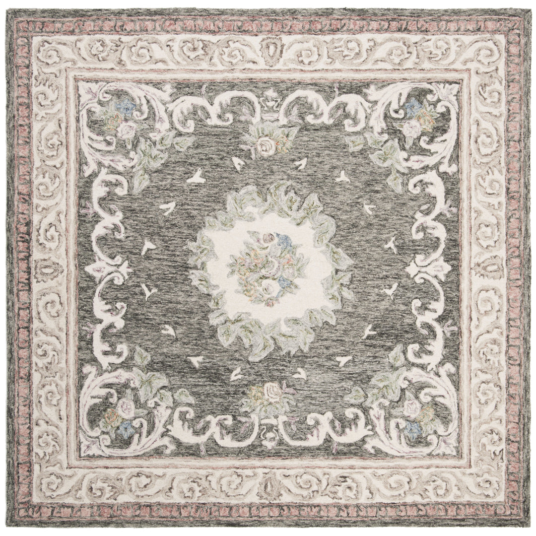 SAFAVIEH Aubusson AUB105H Ivory / Charcoal Rug Image 6