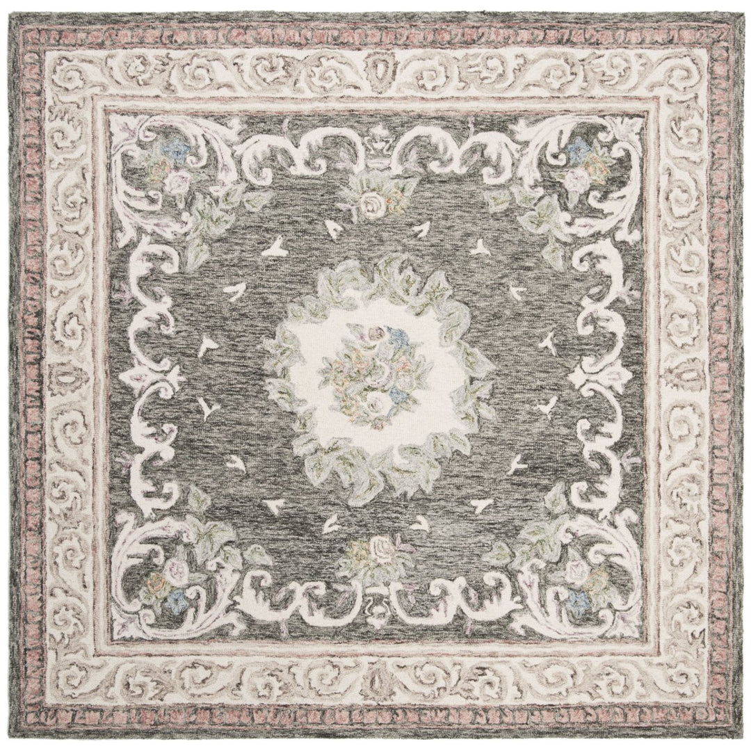 SAFAVIEH Aubusson AUB105H Ivory / Charcoal Rug Image 1