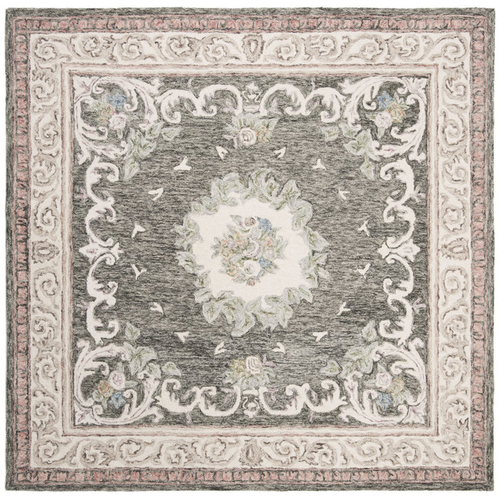 SAFAVIEH Aubusson AUB105H Ivory / Charcoal Rug Image 1