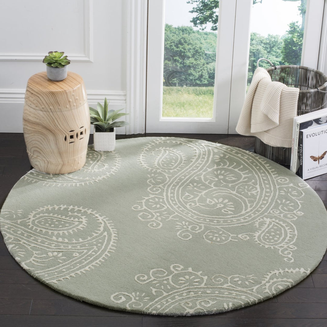 SAFAVIEH Bella BEL153A Handmade Grey / Ivory Rug Image 2