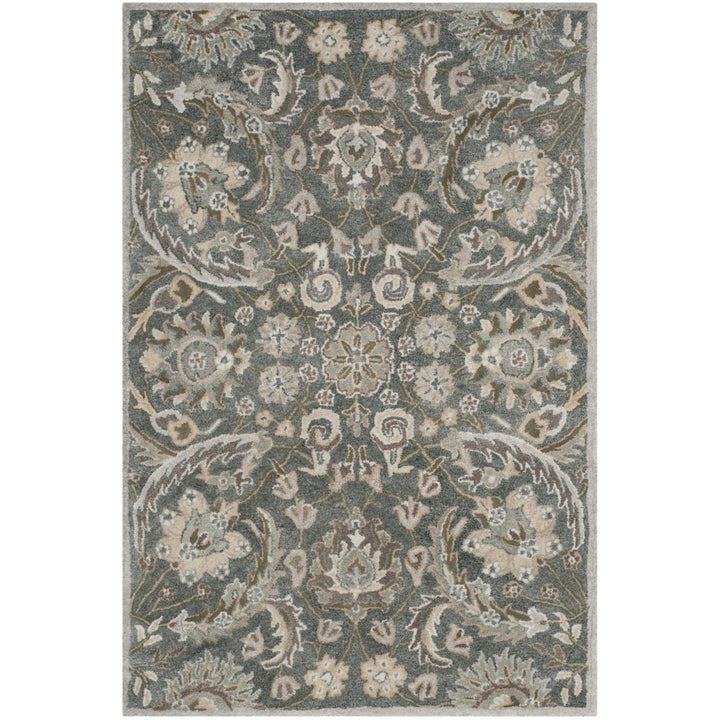 SAFAVIEH Bella BEL923B Handmade Grey / Multi Rug Image 10