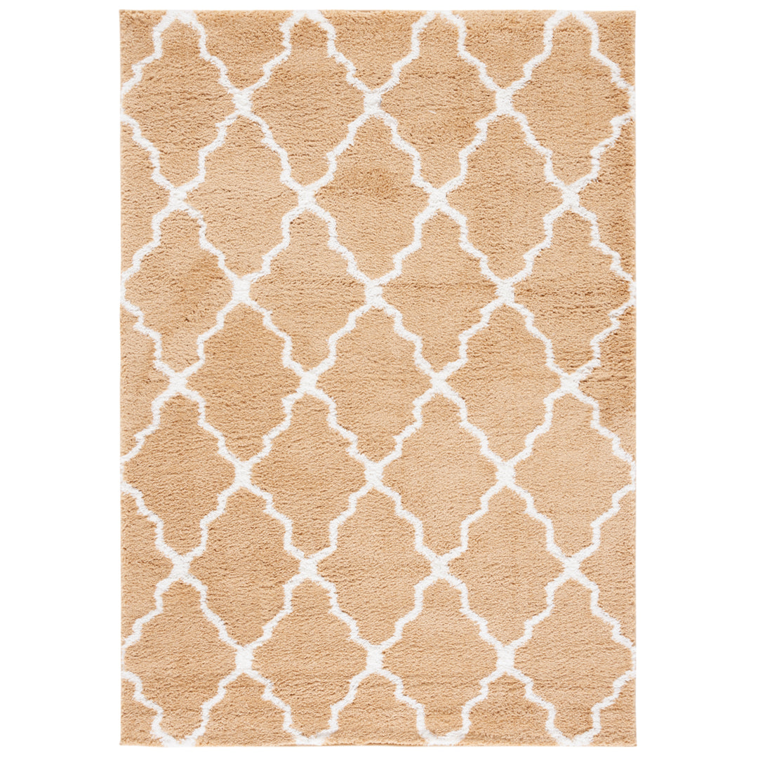 SAFAVIEH Berber Shag BER575D Dark Beige / Ivory Rug Image 1