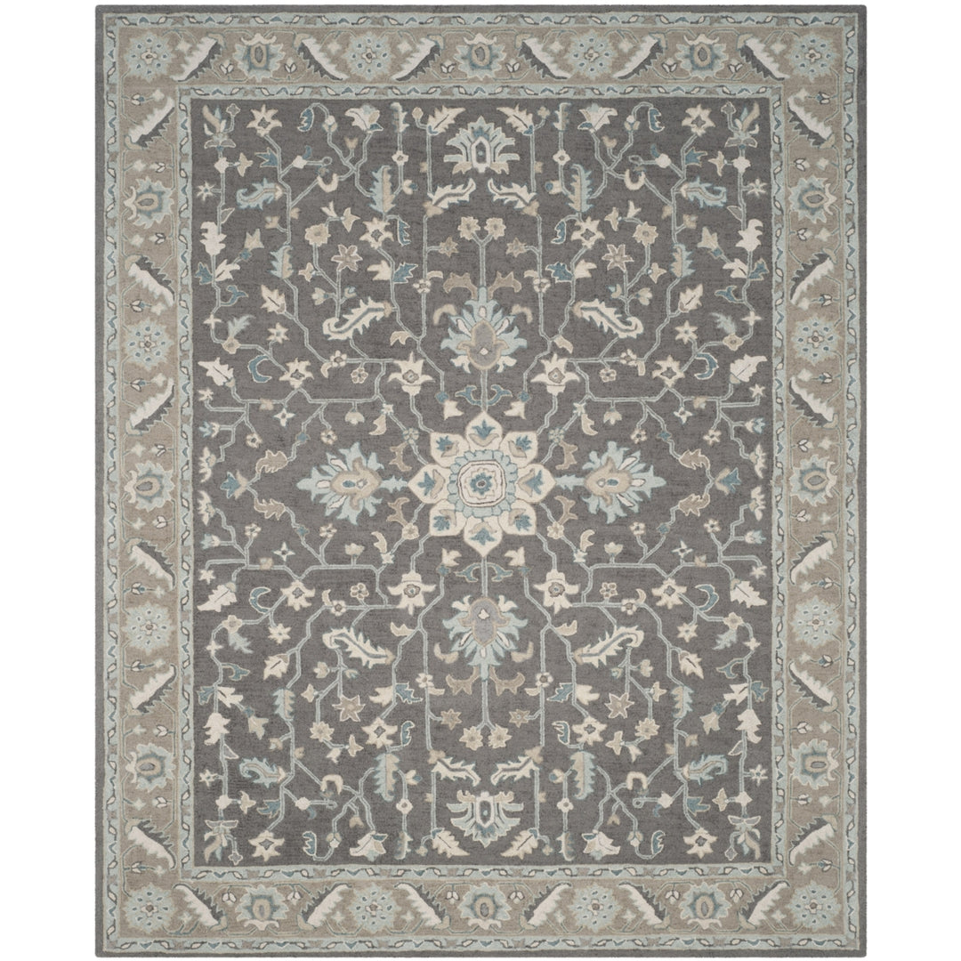 SAFAVIEH Blossom BLM217A Dark Grey / Light Brown Rug Image 1