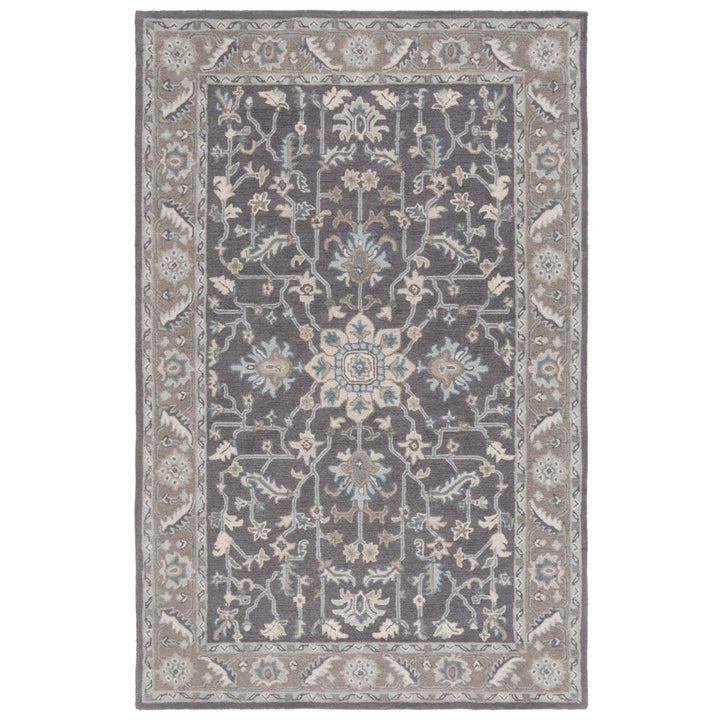 SAFAVIEH Blossom BLM217A Dark Grey / Light Brown Rug Image 9