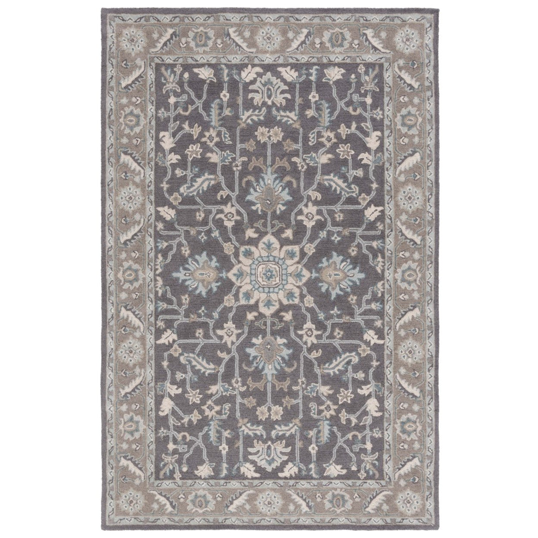 SAFAVIEH Blossom BLM217A Dark Grey / Light Brown Rug Image 1