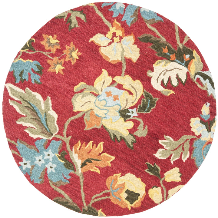 SAFAVIEH Blossom BLM672A Hand-hooked Red / Multi Rug Image 4