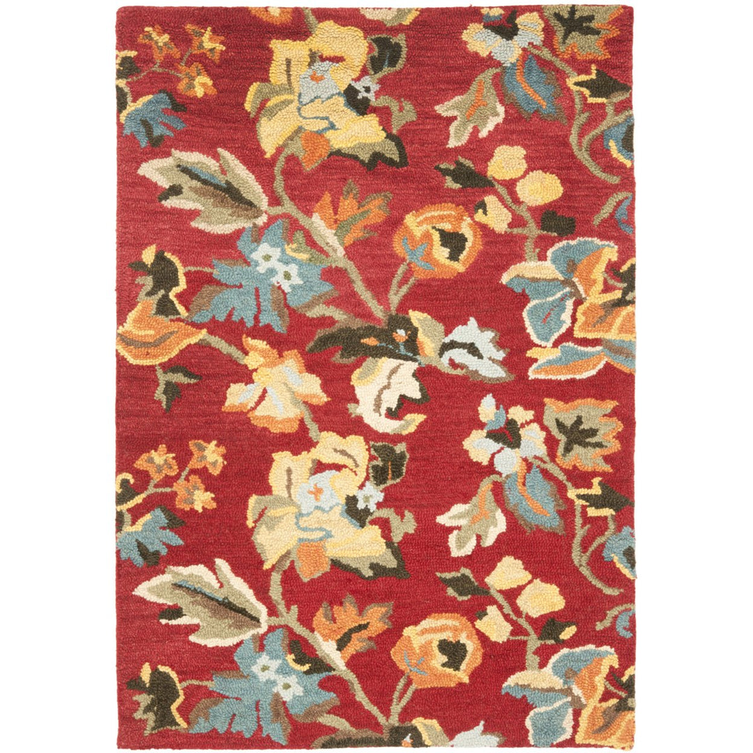 SAFAVIEH Blossom BLM672A Hand-hooked Red / Multi Rug Image 10