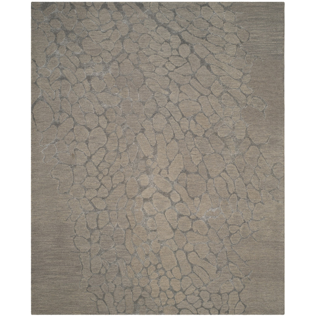 SAFAVIEH Blossom BLM695B Hand-hooked Grey / Grey Rug Image 1