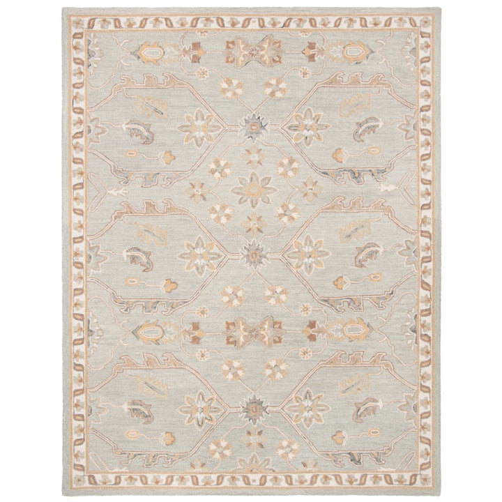 SAFAVIEH Blossom BLM701M Handmade Slate / Beige Rug Image 1