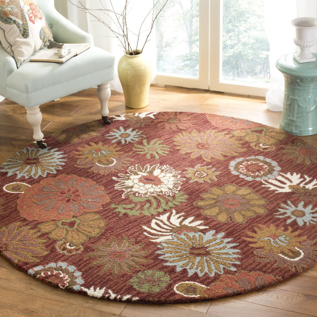 SAFAVIEH Blossom BLM731B Hand-hooked Red / Multi Rug Image 2