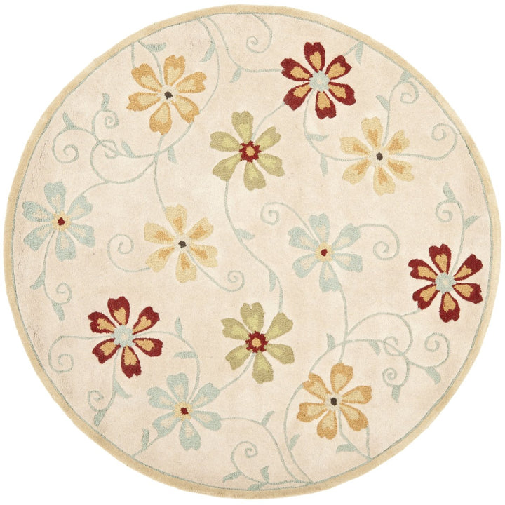 SAFAVIEH Blossom BLM784C Hand-hooked Beige / Multi Rug Image 1