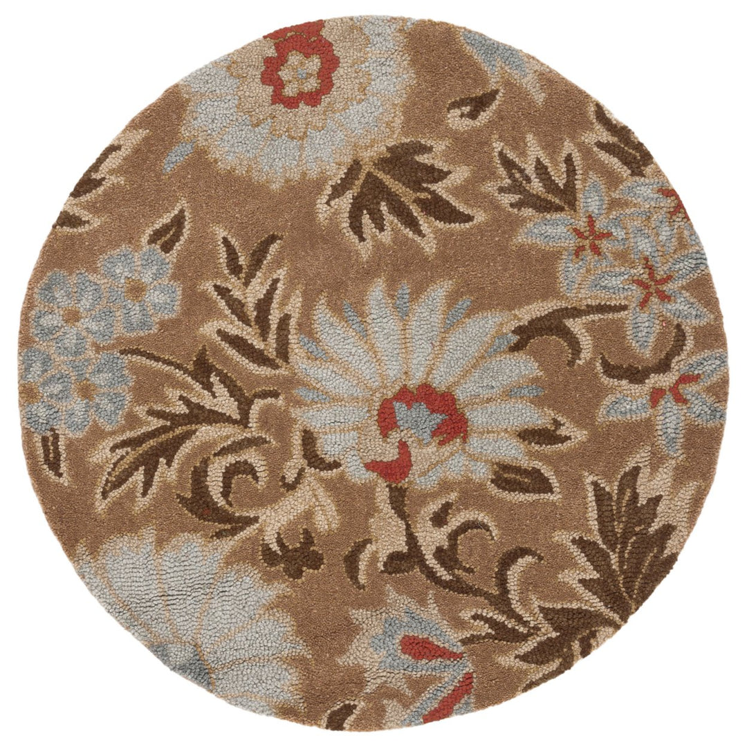 SAFAVIEH Blossom BLM912C Hand-hooked Beige / Multi Rug Image 1