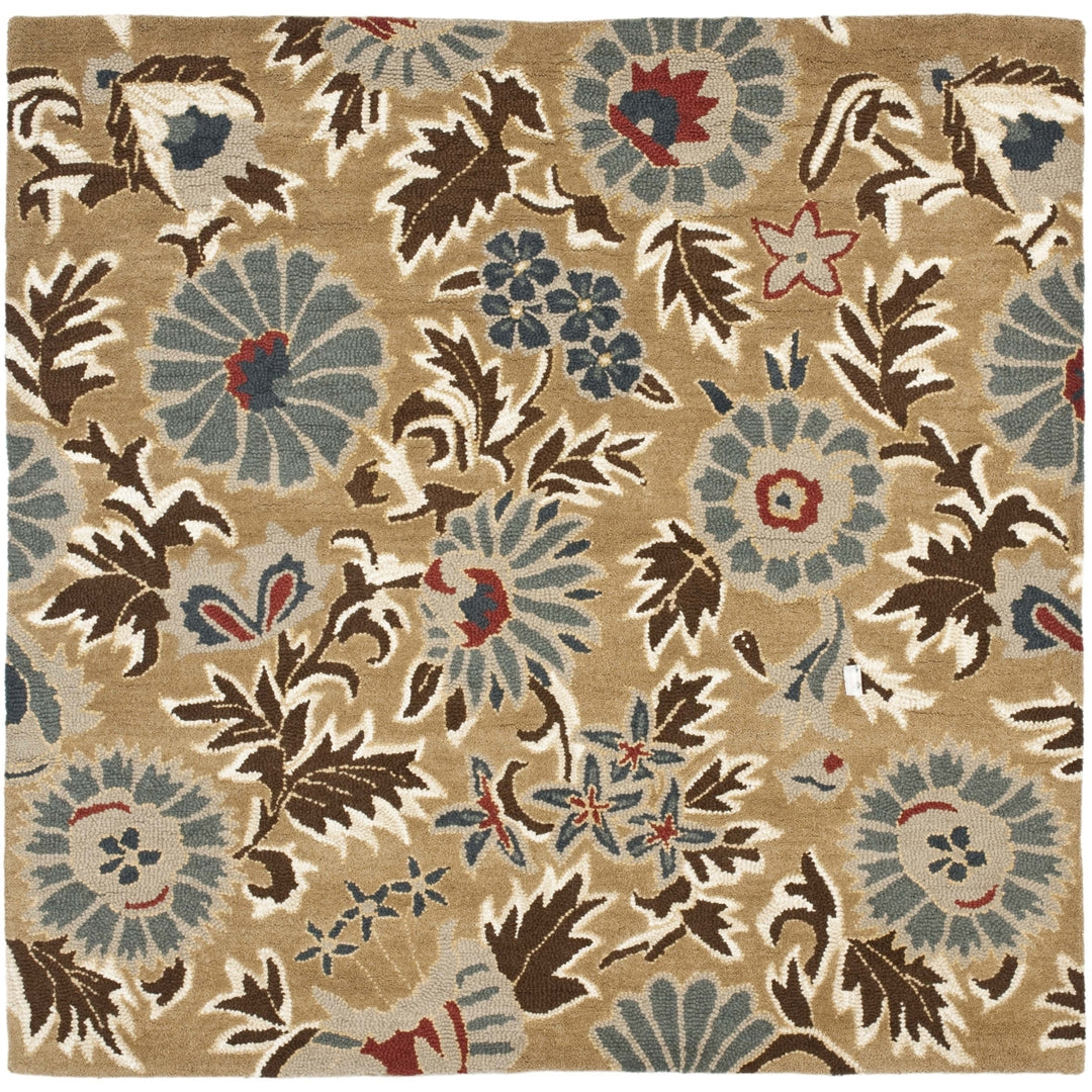 SAFAVIEH Blossom BLM912C Hand-hooked Beige / Multi Rug Image 5