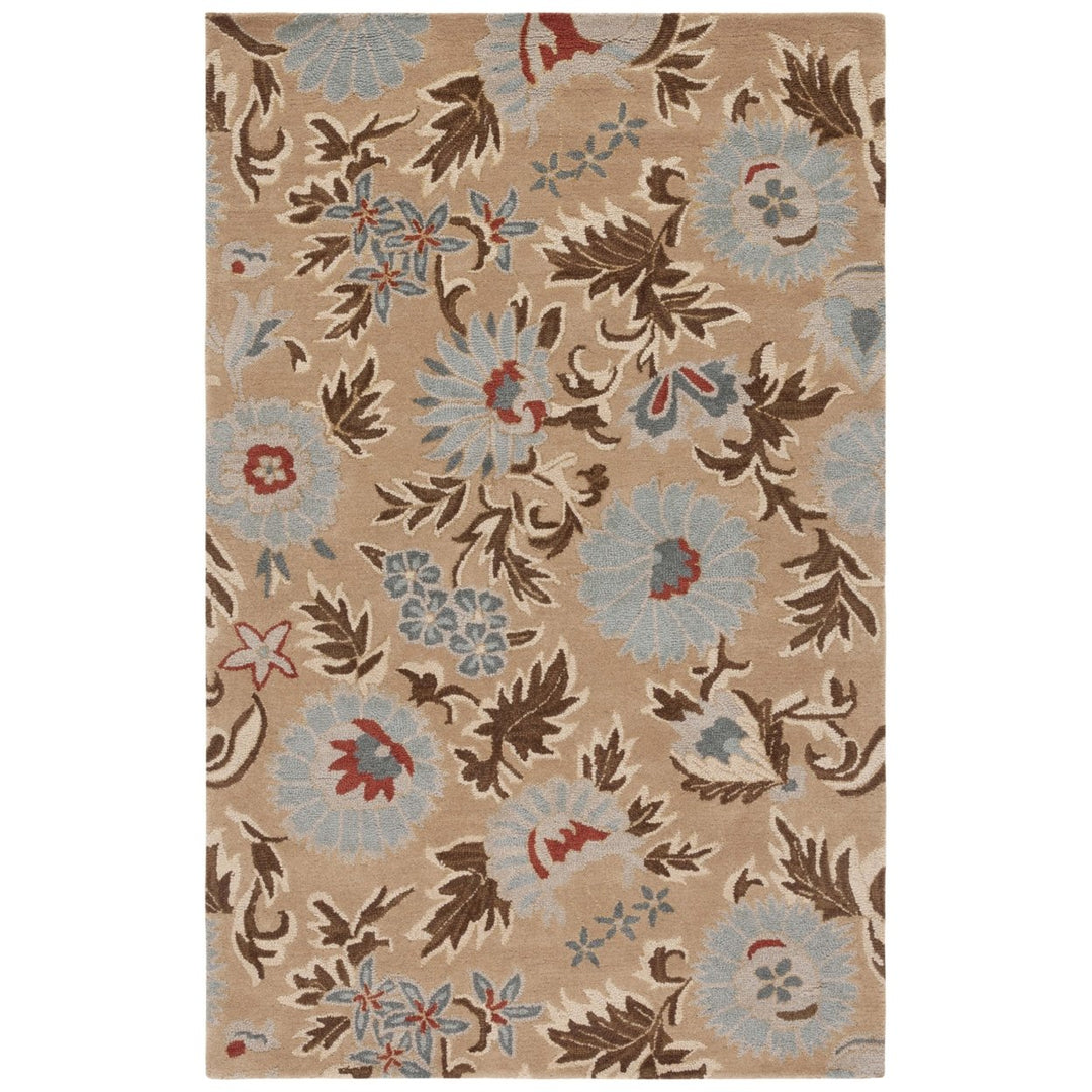 SAFAVIEH Blossom BLM912C Hand-hooked Beige / Multi Rug Image 8