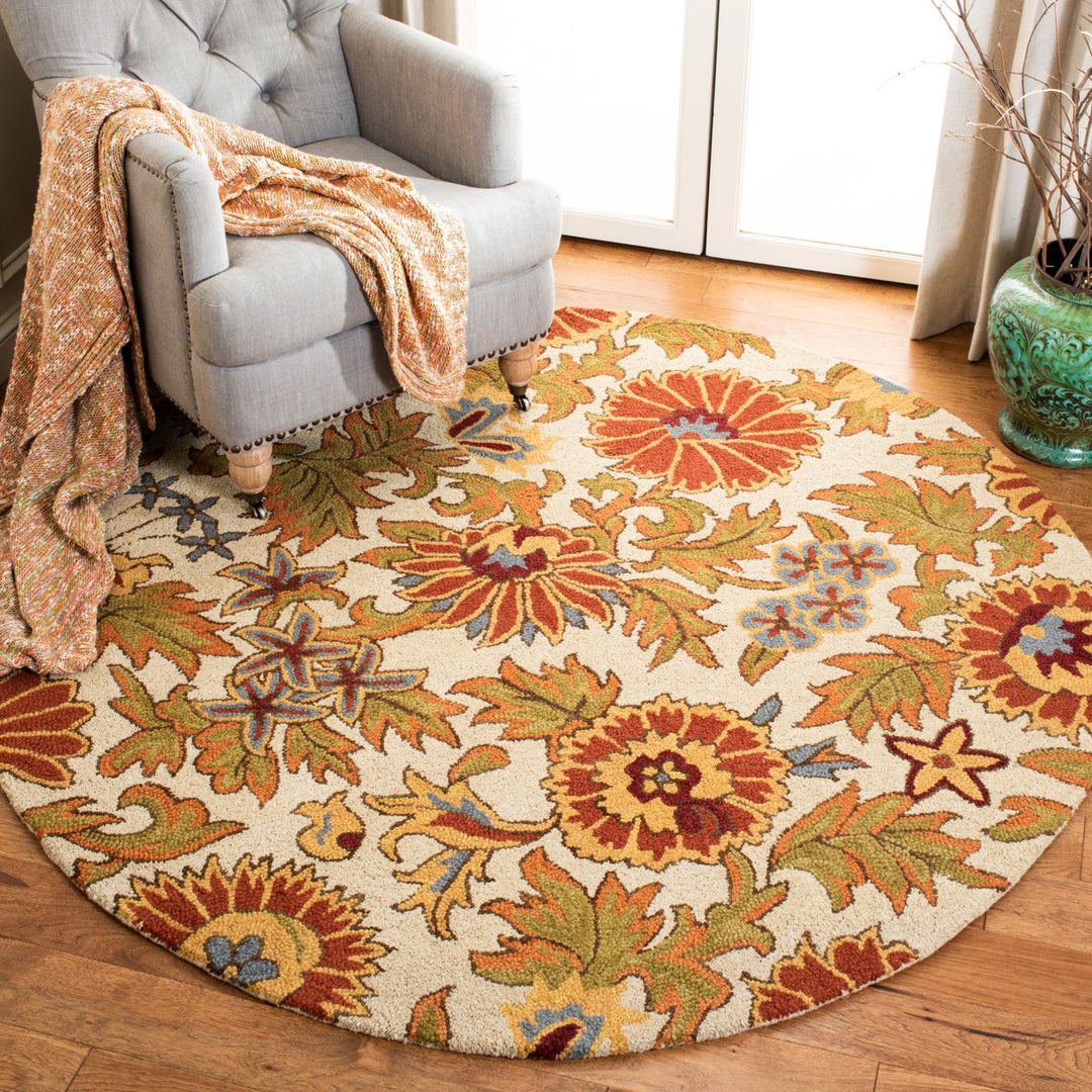 SAFAVIEH Blossom BLM912B Hand-hooked Ivory / Multi Rug Image 9