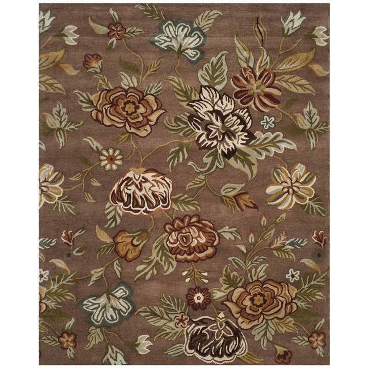 SAFAVIEH Blossom BLM920A Hand-hooked Brown / Multi Rug Image 1