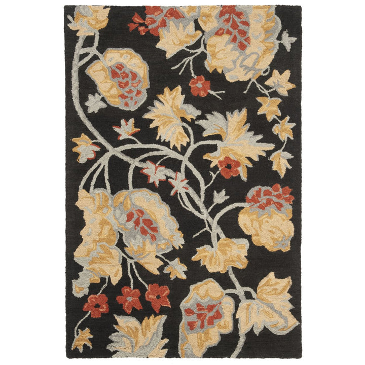 SAFAVIEH Blossom BLM918A Hand-hooked Black / Multi Rug Image 1