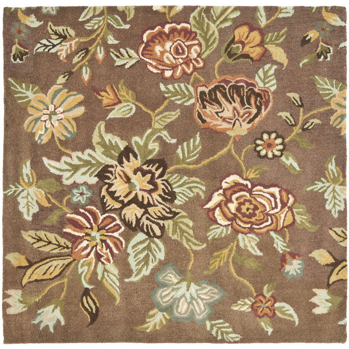 SAFAVIEH Blossom BLM920A Hand-hooked Brown / Multi Rug Image 6