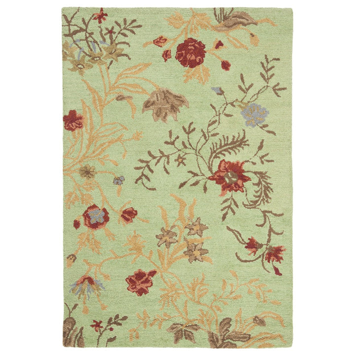 SAFAVIEH Blossom BLM919A Light Green / Multi Rug Image 10