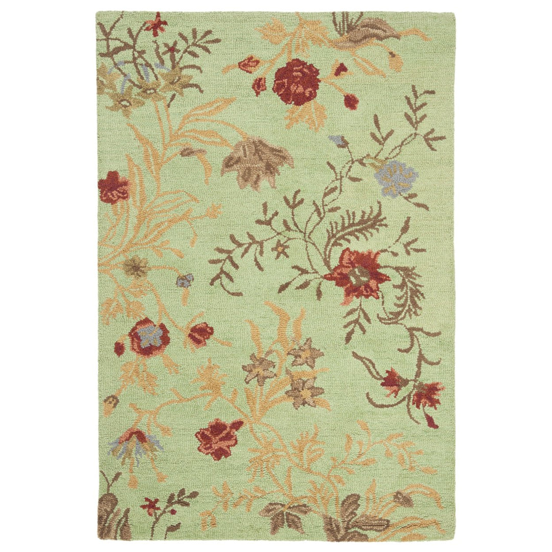 SAFAVIEH Blossom BLM919A Light Green / Multi Rug Image 1