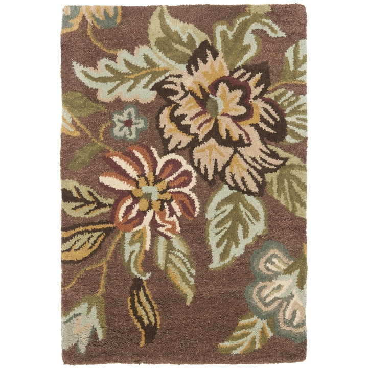 SAFAVIEH Blossom BLM920A Hand-hooked Brown / Multi Rug Image 8