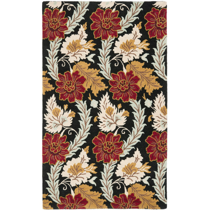 SAFAVIEH Blossom BLM921A Hand-hooked Black / Multi Rug Image 1