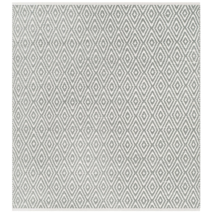 SAFAVIEH Boston Collection BOS682E Handwoven Grey Rug Image 1