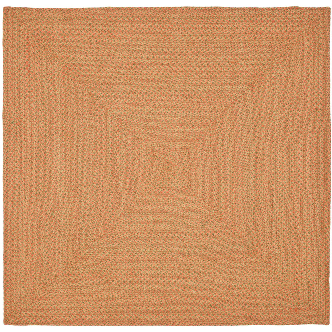 SAFAVIEH Braided Collection BRD166A Handwoven Multi Rug Image 1