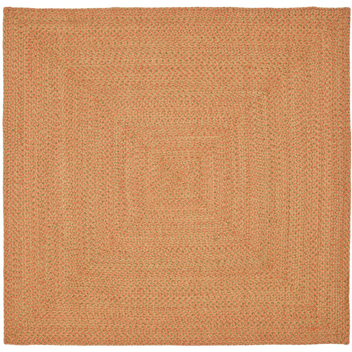 SAFAVIEH Braided Collection BRD166A Handwoven Multi Rug Image 1