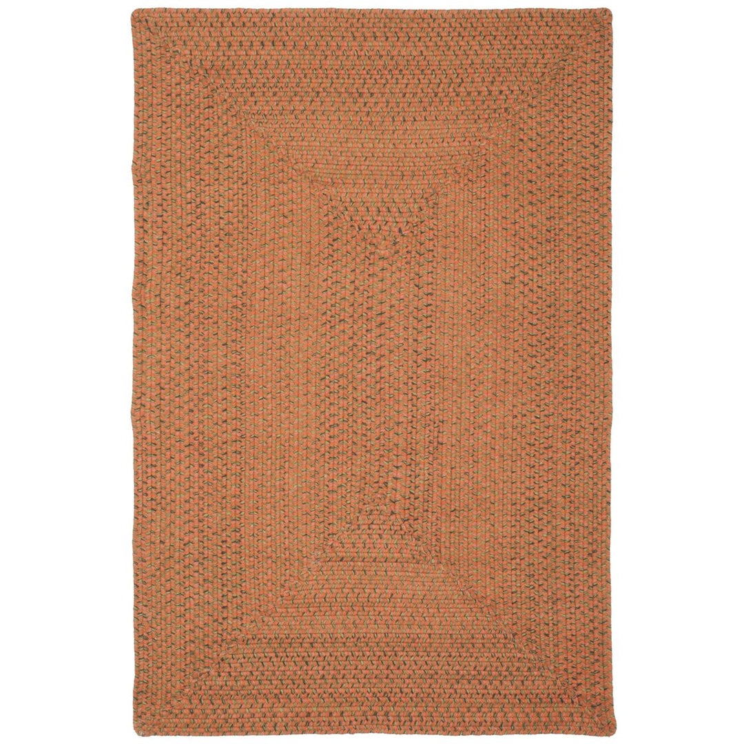 SAFAVIEH Braided Collection BRD166A Handwoven Multi Rug Image 1