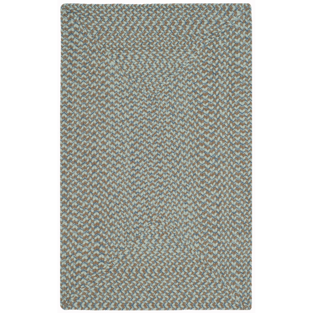 SAFAVIEH Braided Collection BRD170A Handwoven Multi Rug Image 3