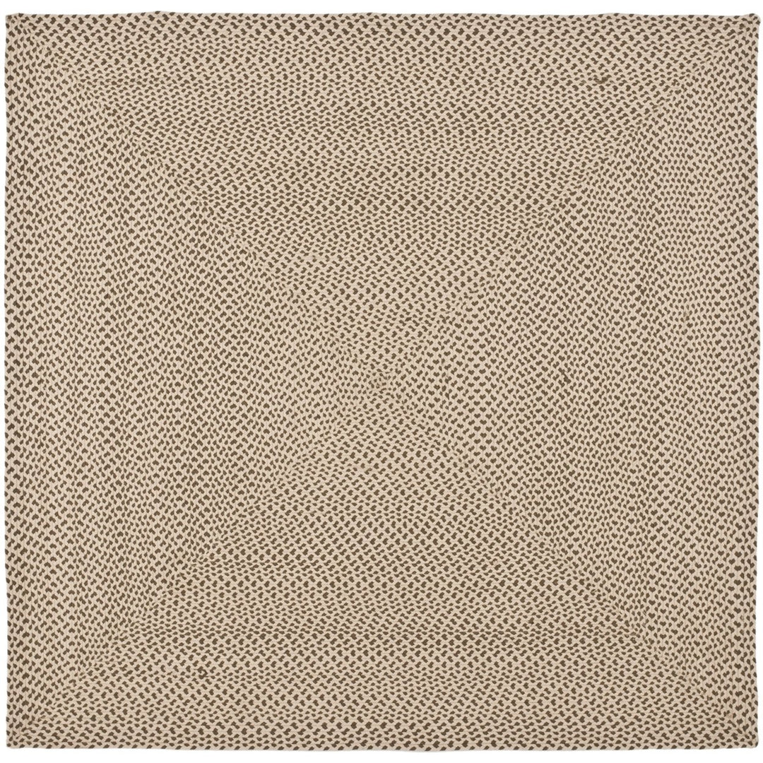 SAFAVIEH Braided BRD173A Handwoven Beige / Brown Rug Image 1