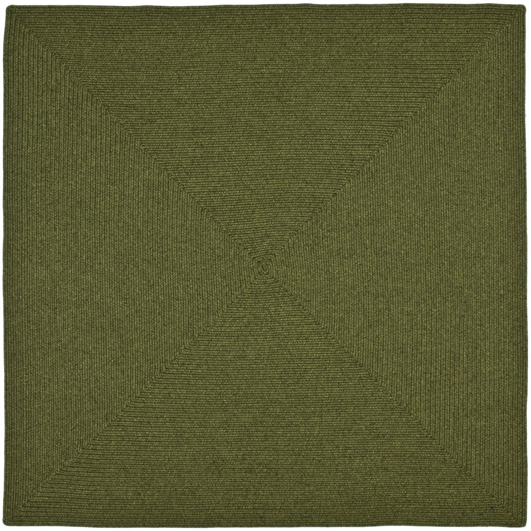 SAFAVIEH BRD315A Braided Green Image 9