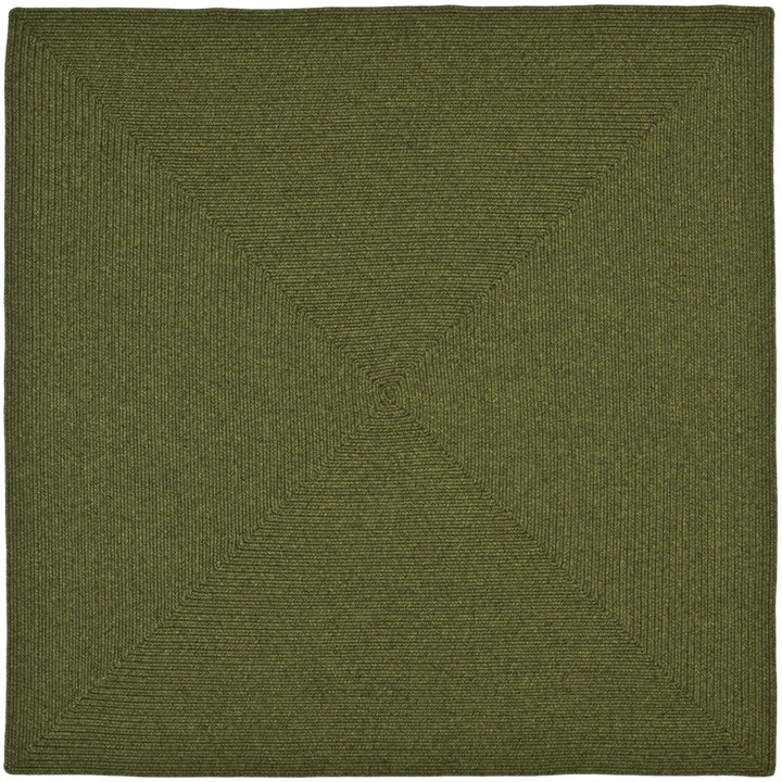 SAFAVIEH BRD315A Braided Green Image 1