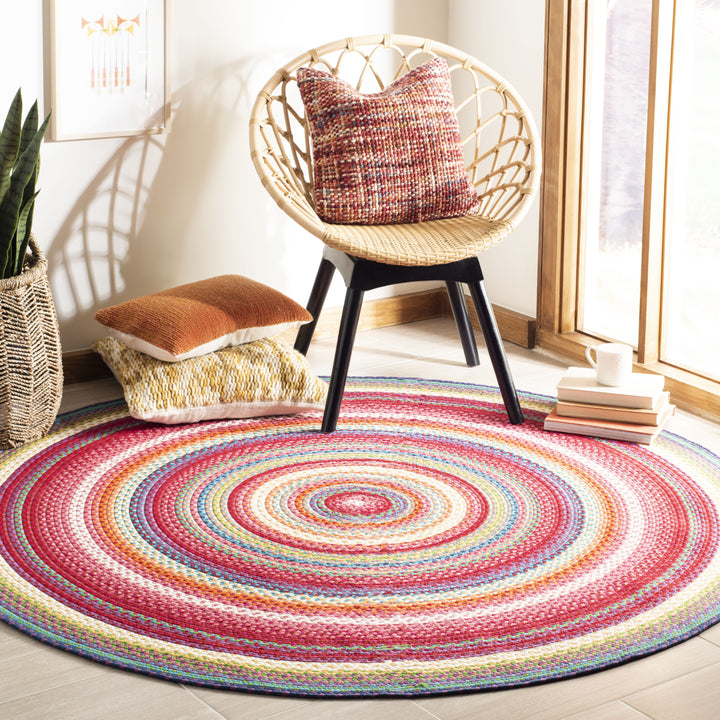 SAFAVIEH Braided Collection BRD316A Handwoven Multi Rug Image 8