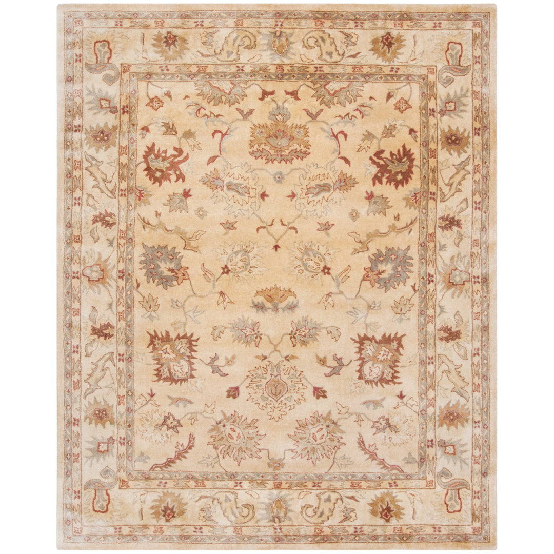 SAFAVIEH Bergama BRG136A Handmade Taupe / Ivory Rug Image 1