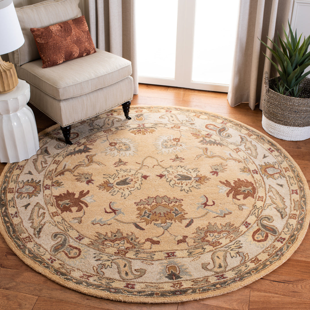 SAFAVIEH Bergama BRG136A Handmade Taupe / Ivory Rug Image 2