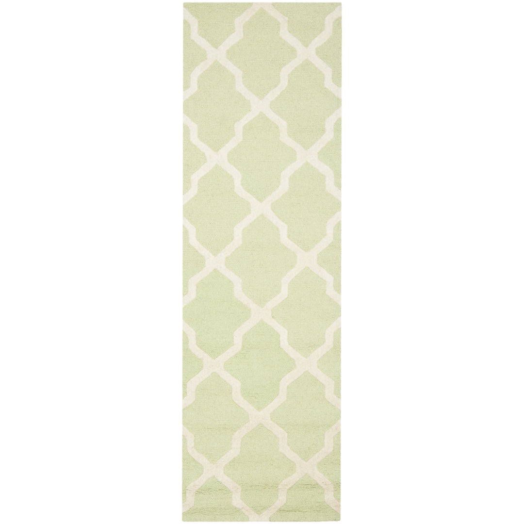 SAFAVIEH Cambridge CAM121B Light Green / Ivory Rug Image 4