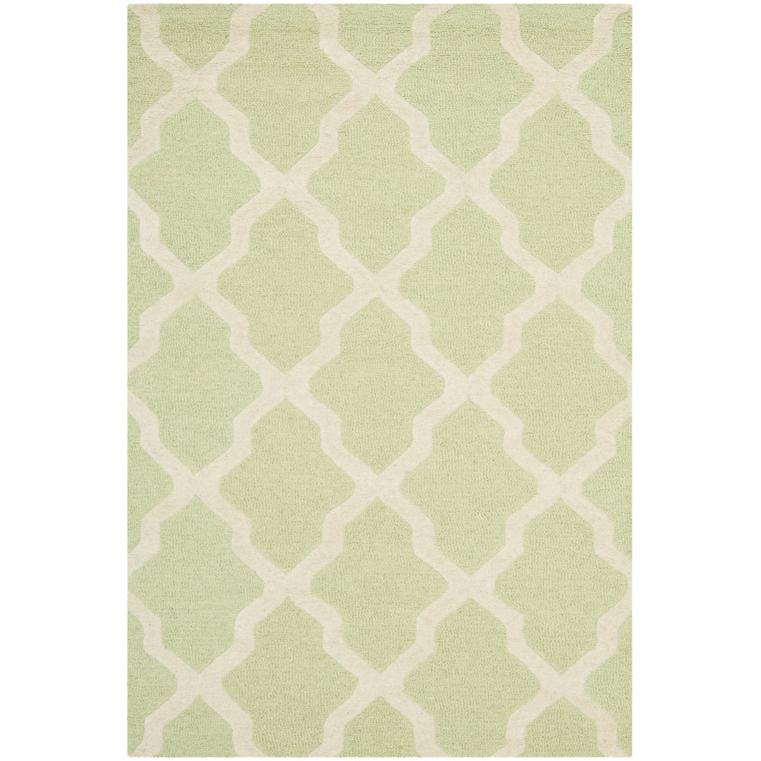 SAFAVIEH Cambridge CAM121B Light Green / Ivory Rug Image 6