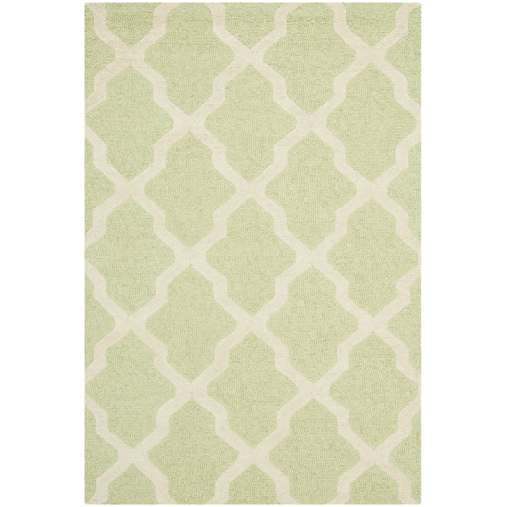 SAFAVIEH Cambridge CAM121B Light Green / Ivory Rug Image 6