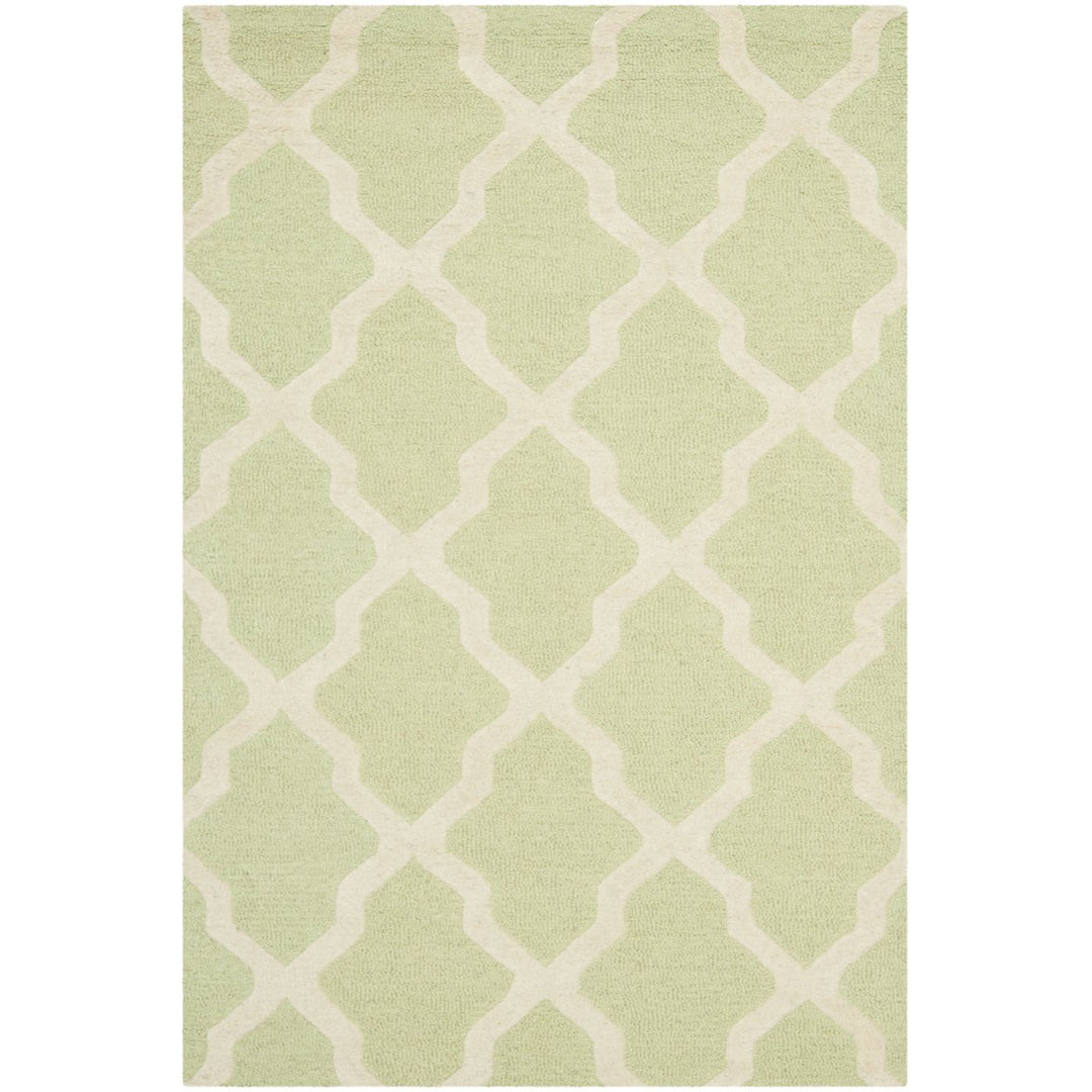 SAFAVIEH Cambridge CAM121B Light Green / Ivory Rug Image 1