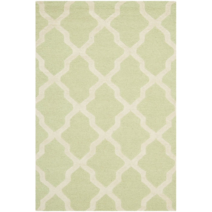 SAFAVIEH Cambridge CAM121B Light Green / Ivory Rug Image 1