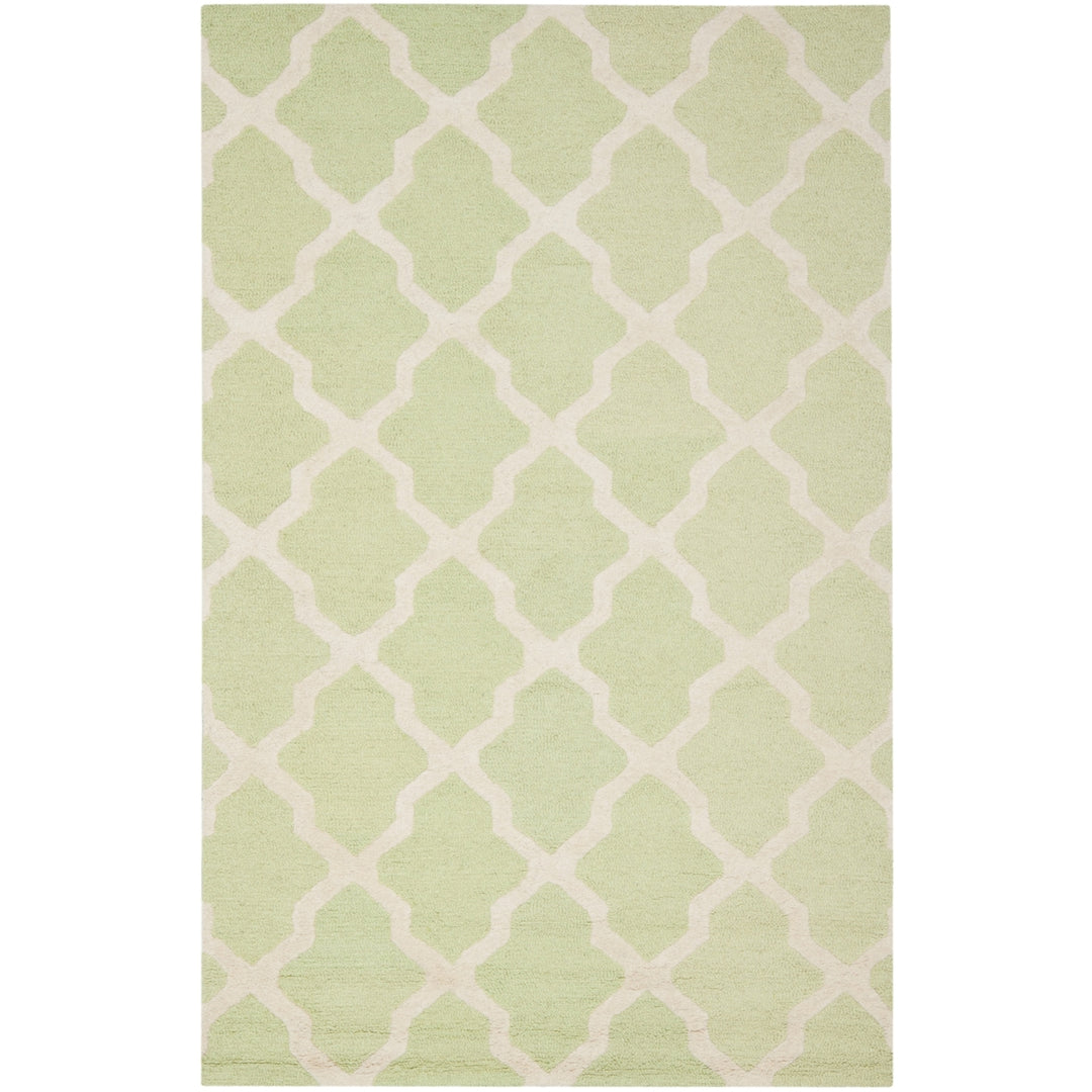 SAFAVIEH Cambridge CAM121B Light Green / Ivory Rug Image 7