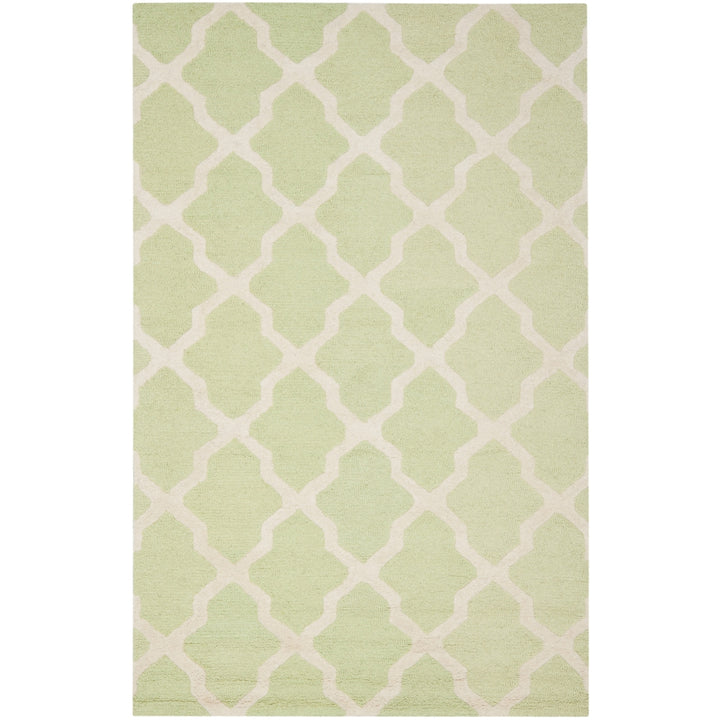 SAFAVIEH Cambridge CAM121B Light Green / Ivory Rug Image 7