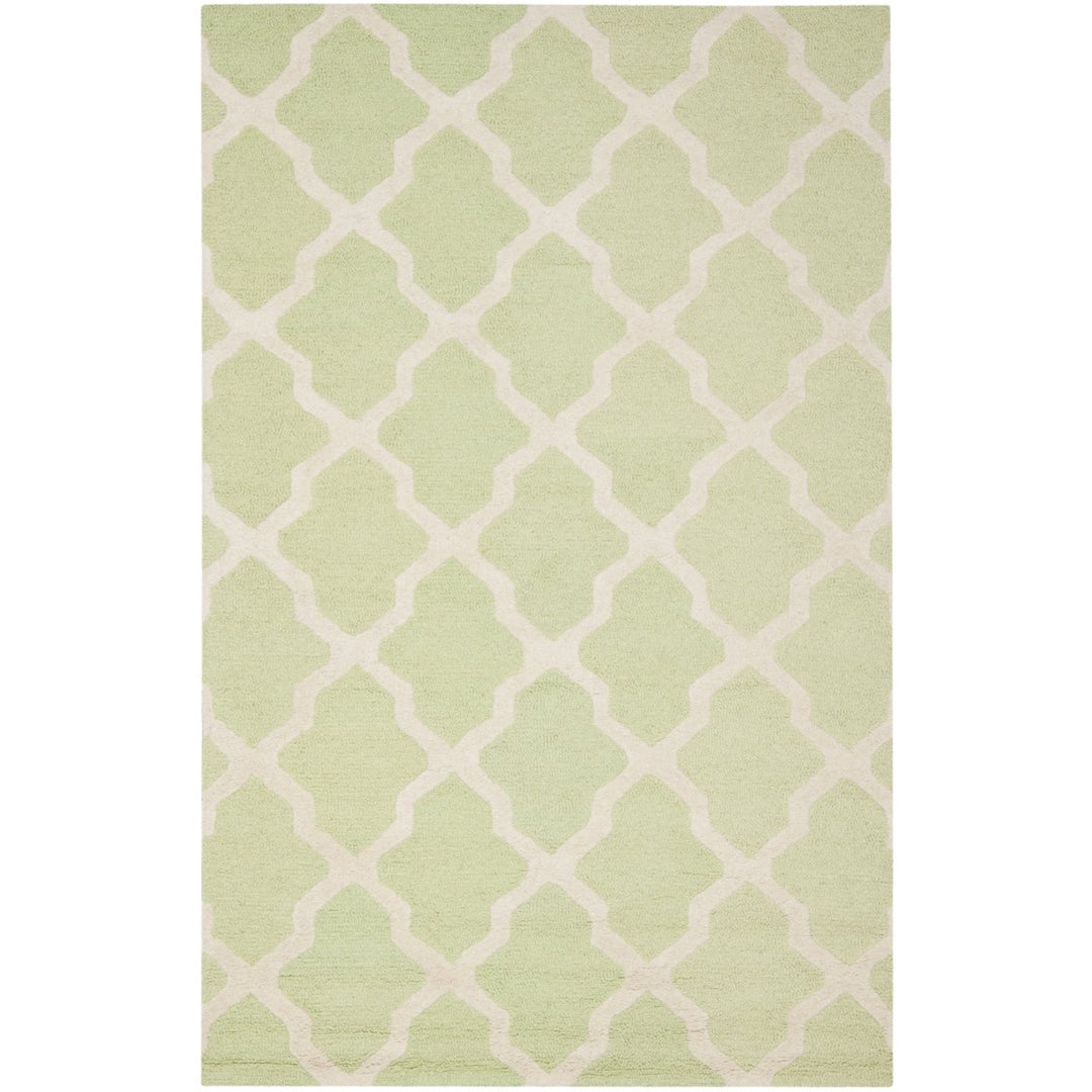 SAFAVIEH Cambridge CAM121B Light Green / Ivory Rug Image 1