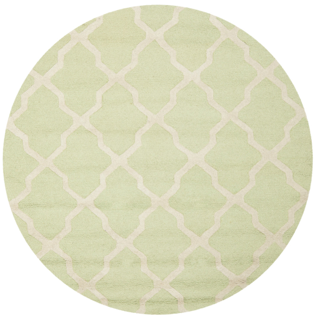 SAFAVIEH Cambridge CAM121B Light Green / Ivory Rug Image 8