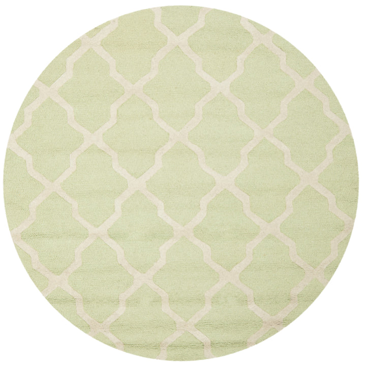 SAFAVIEH Cambridge CAM121B Light Green / Ivory Rug Image 8